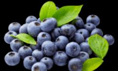 How to care for blueberries and achieve good fruiting?