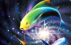 Horoscope for tomorrow Pisces on the only one What awaits Pisces tomorrow fortune telling