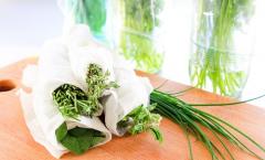 Conditions, period and temperature for storing fresh herbs at home How to store greens in a jar in the refrigerator