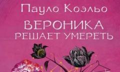 Где живет пауло коэльо. Пауло коэльо биография. Победитель остается один