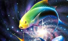 Horoskop za sutra Ribe na jedinoj Šta očekuje Ribe sutra gatanje