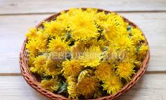 Mysterious yellow dandelion oil Benefits of dandelion oil