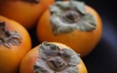What does the dream book warn about if you dream of persimmon?